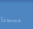 Design, concept and programming of the website by Blowfish AG
